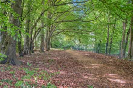 Aston Hill, Halton, Image 33