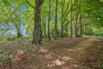 Aston Hill, Halton, Image 34