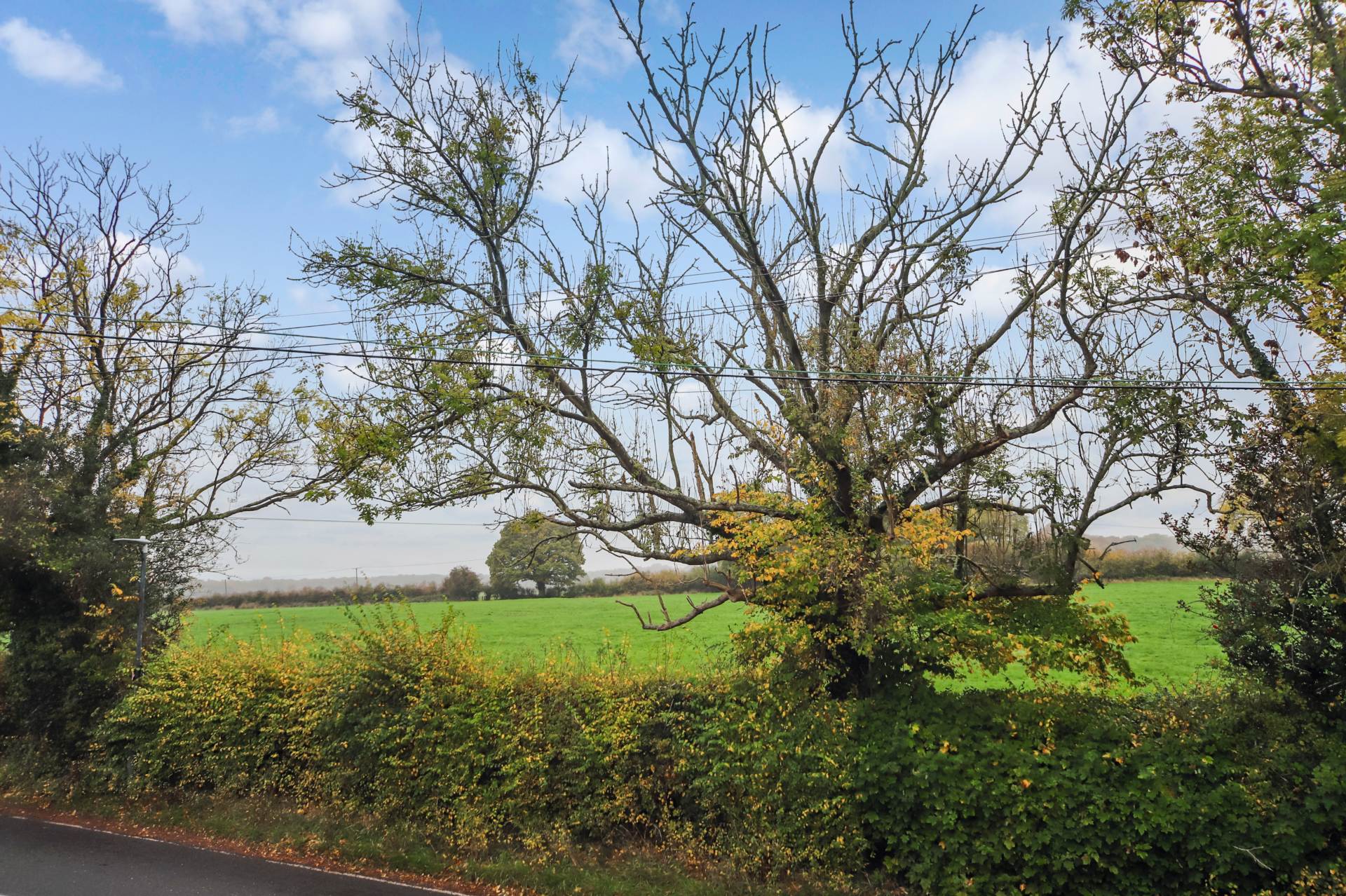 Hollybush Row, Tring, Image 17
