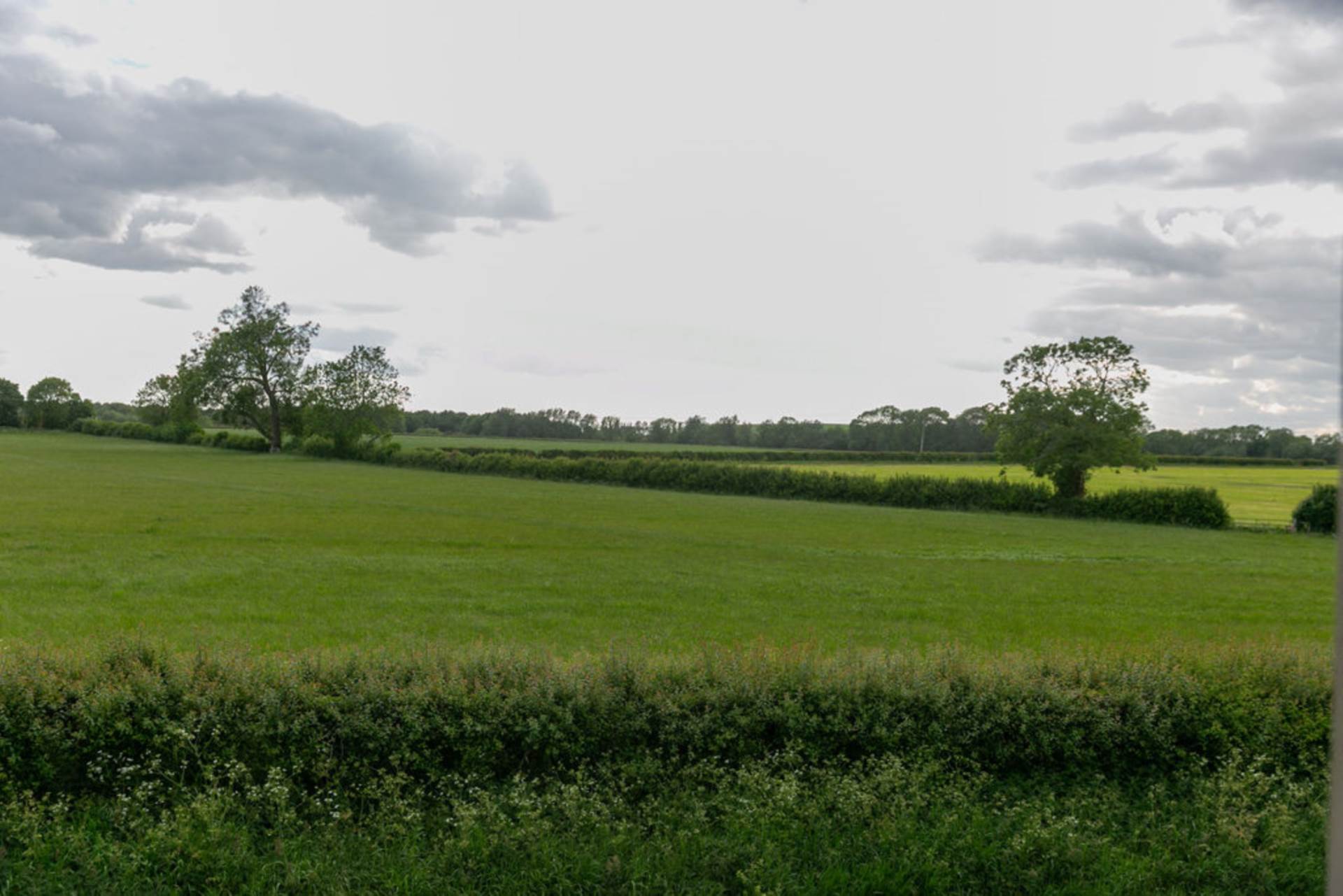 Great Gap, Ivinghoe, Image 30