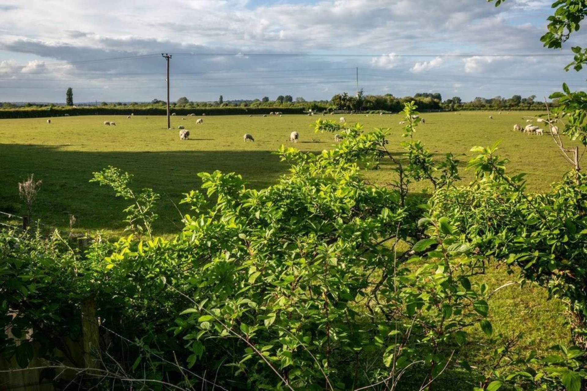 Great Gap, Ivinghoe, Image 42