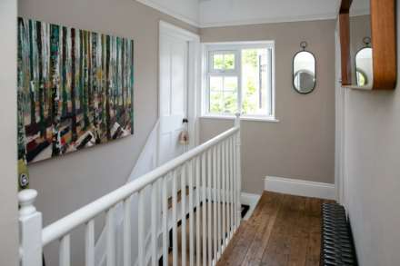 Great Gap, Ivinghoe, Image 16