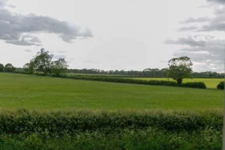 Great Gap, Ivinghoe, Image 30