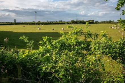 Great Gap, Ivinghoe, Image 42