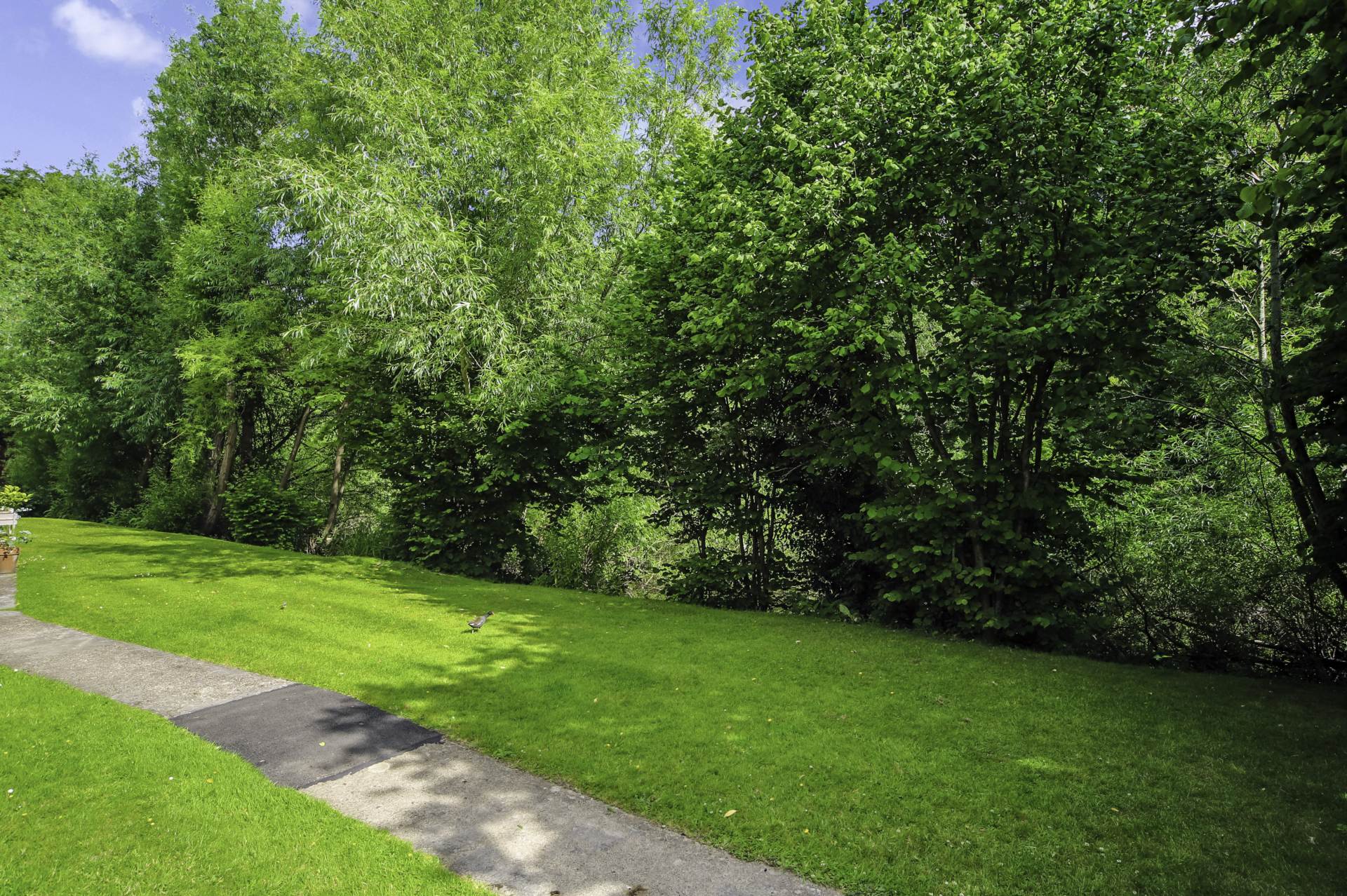 St Well Court, Berkhamsted, Image 10