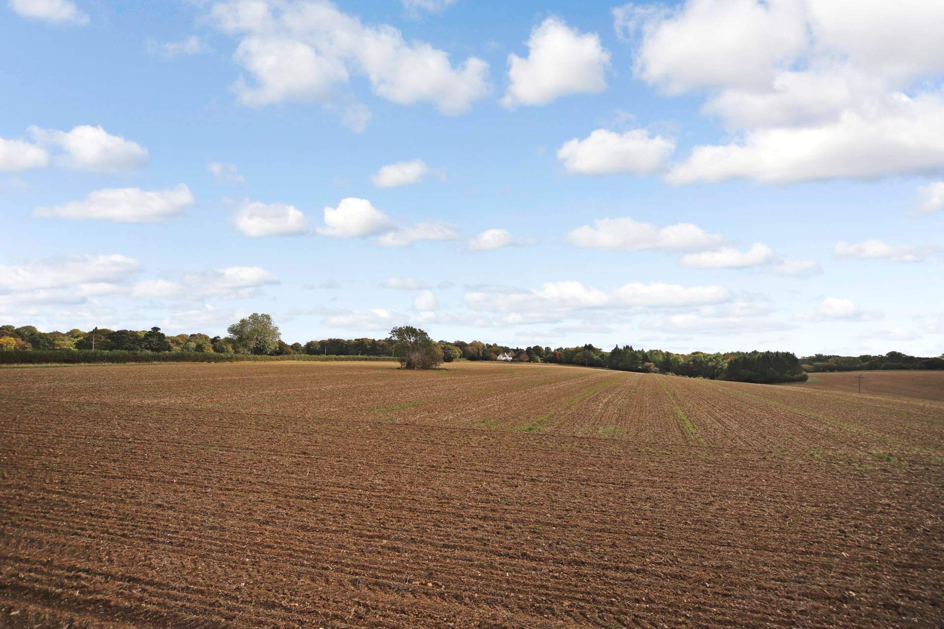 Rossway, Berkhamsted, Image 2