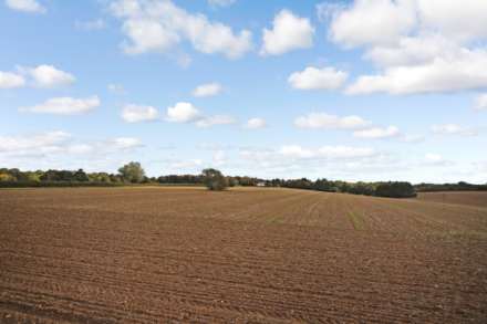 Rossway, Berkhamsted, Image 2