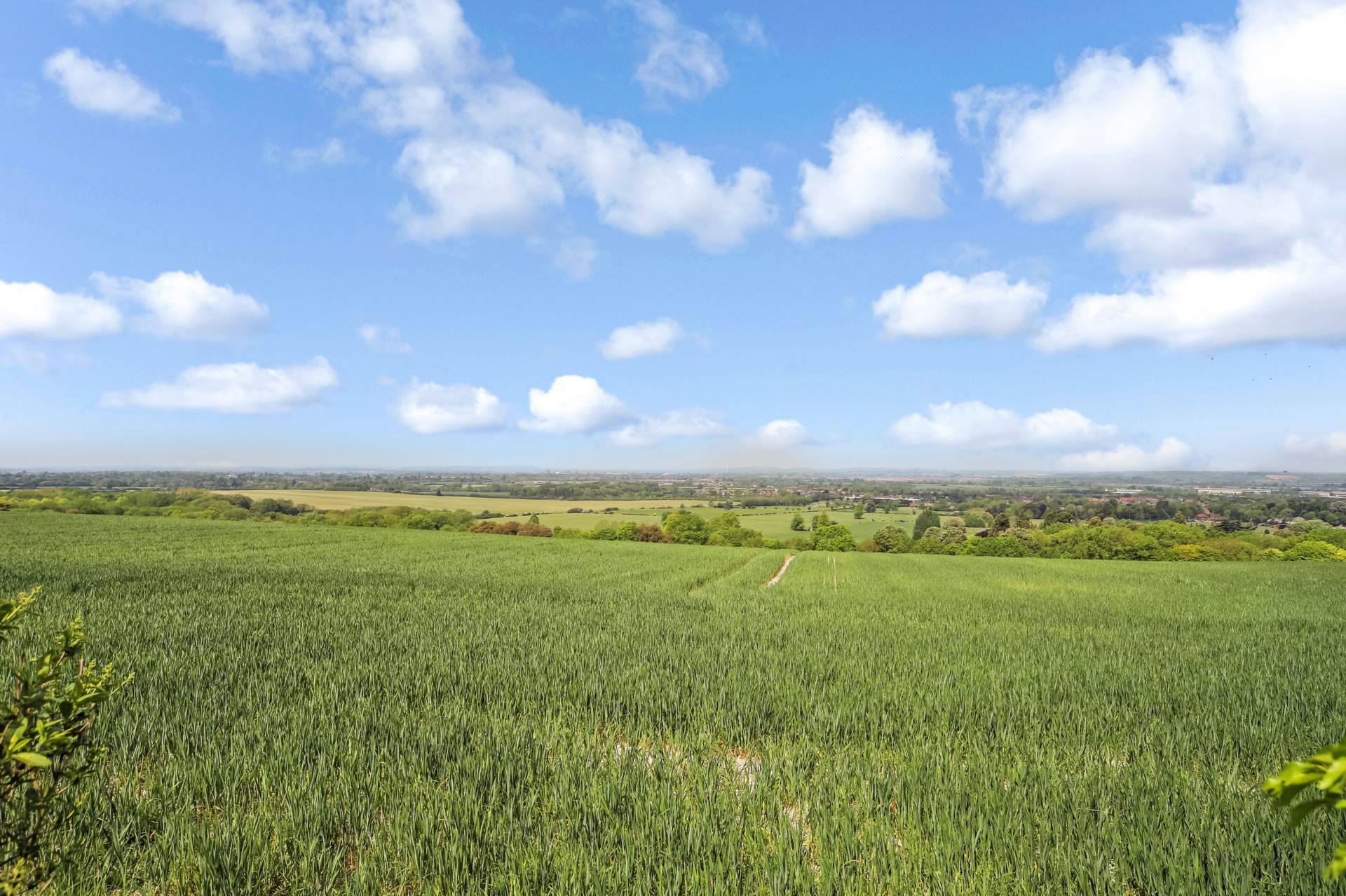 Upper Icknield Way, Aylesbury, Image 28