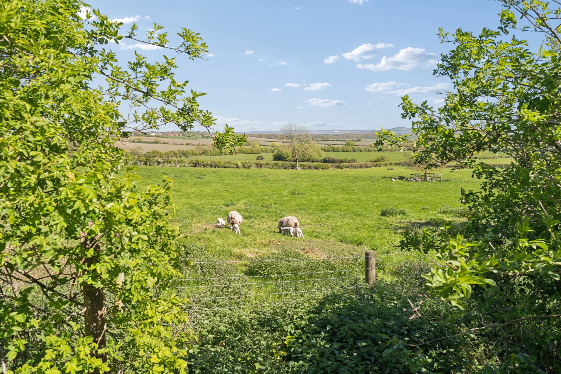 Mill Lane, Wingrave, Image 20