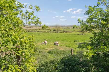 Mill Lane, Wingrave, Image 20