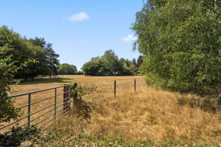 Wigginton, Image 25