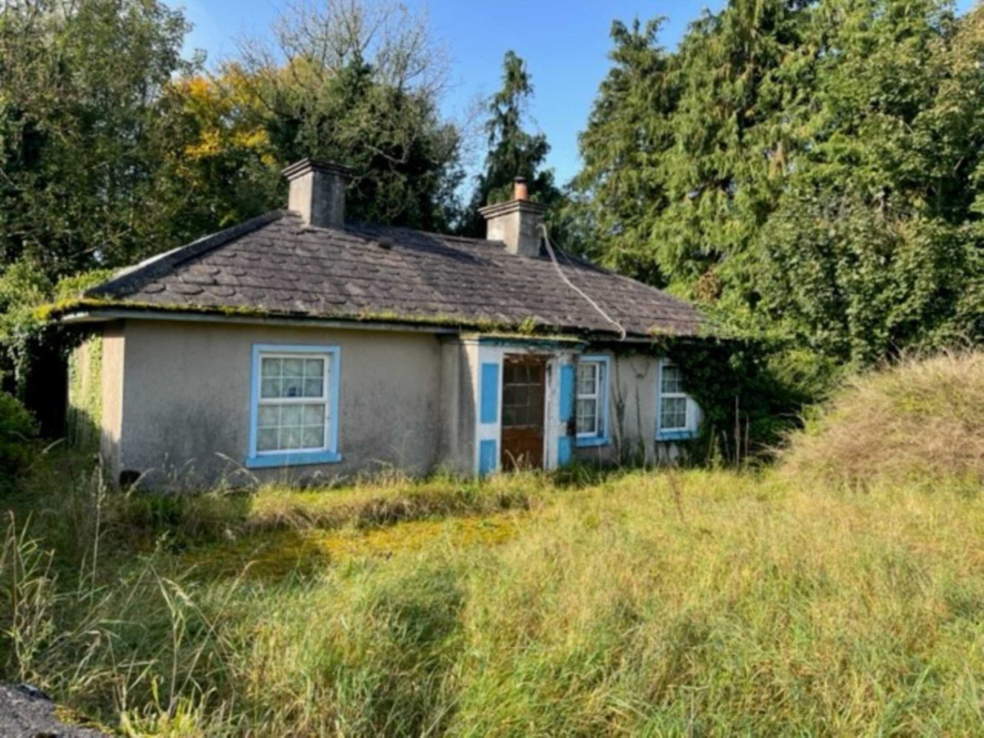 Ballymullen, Kilcreest, Co. Galway, H62 YD43