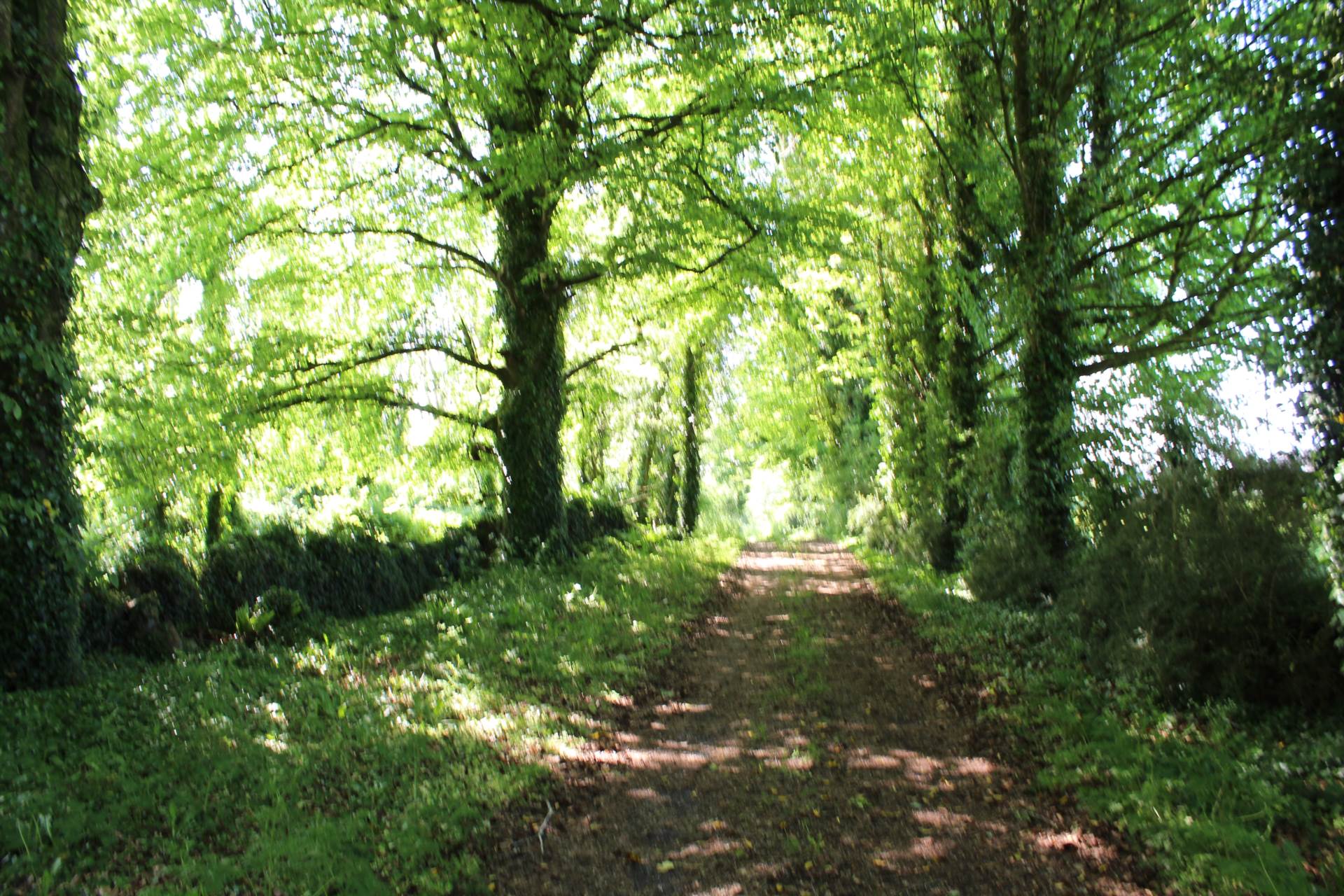 Limepark, Ardrahan, Co. Galway Limepark, Ardrahan, Co. Galway