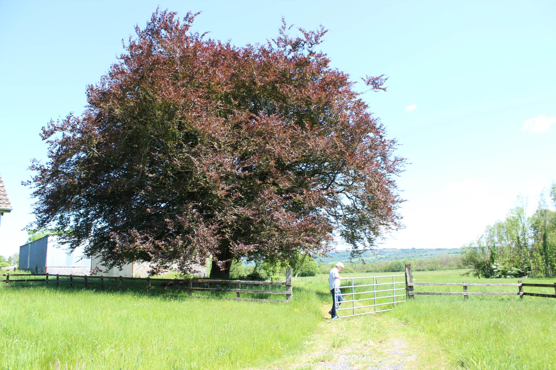 Limepark, Ardrahan, Co. Galway Limepark, Ardrahan, Co. Galway