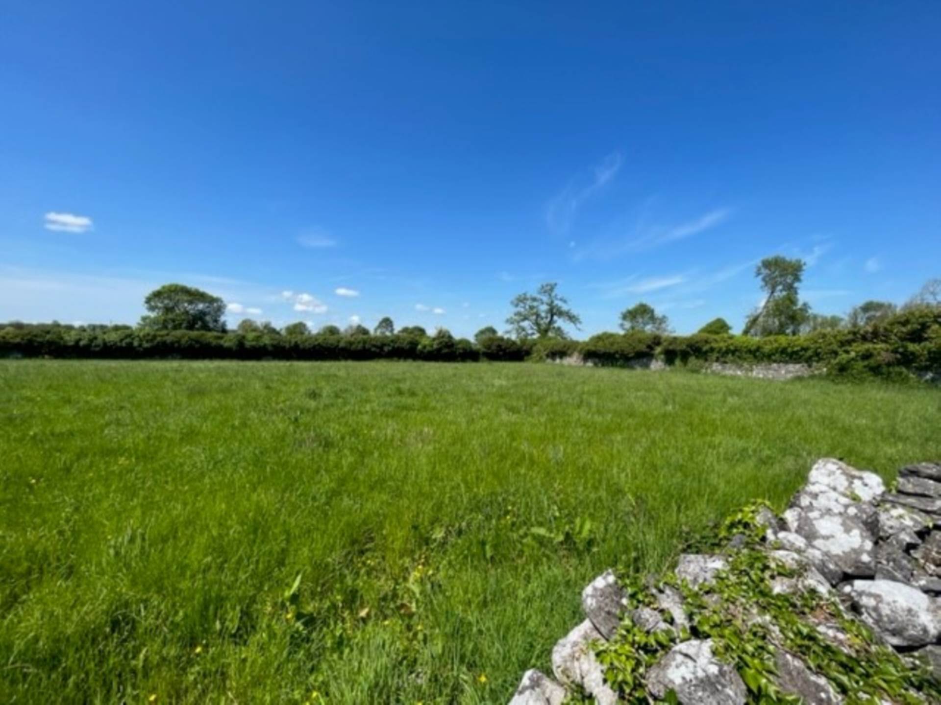 Limepark, Ardrahan, Co. Galway Limepark, Ardrahan, Co. Galway