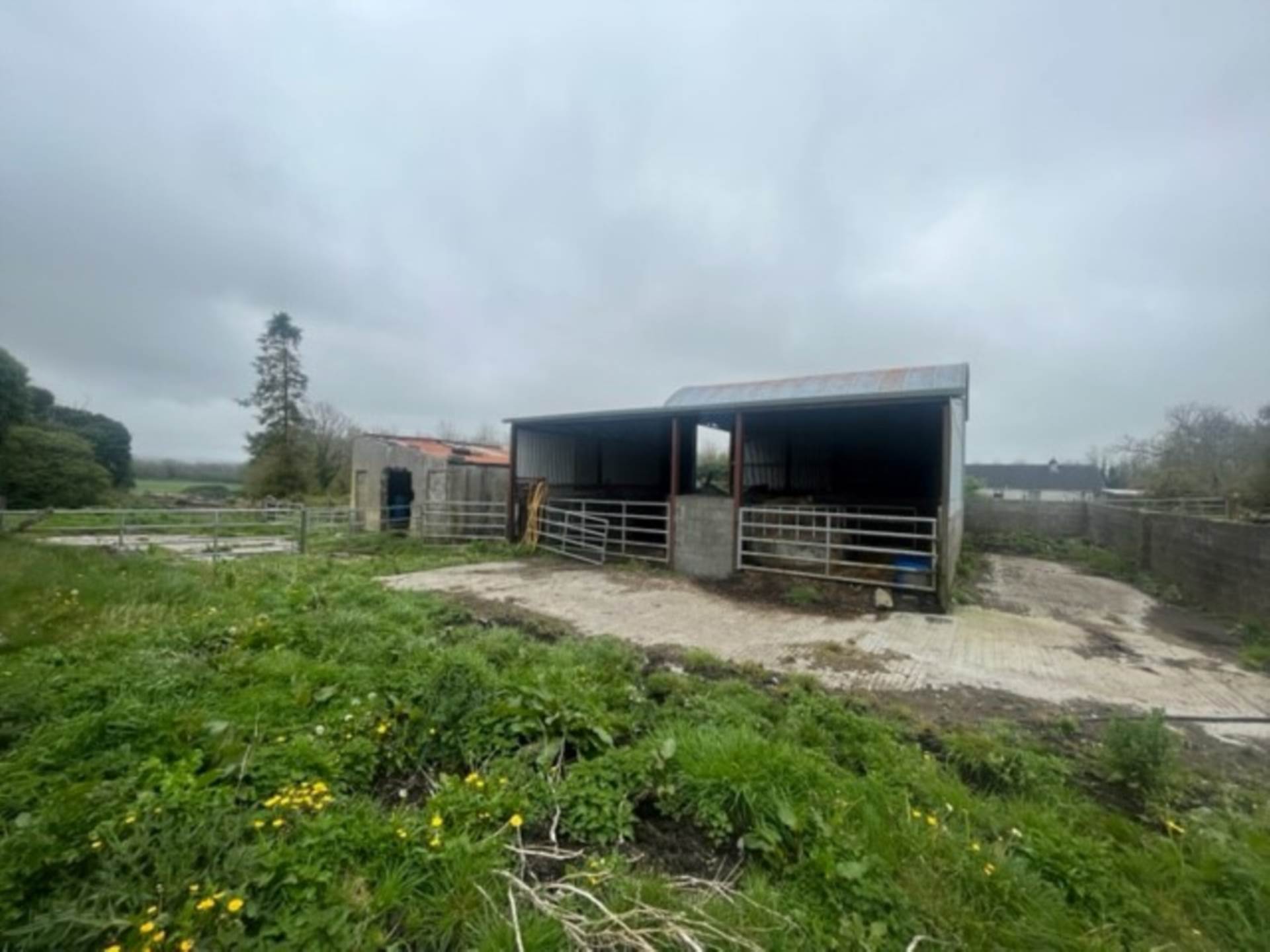 Limepark, Ardrahan, Co. Galway Limepark, Ardrahan, Co. Galway