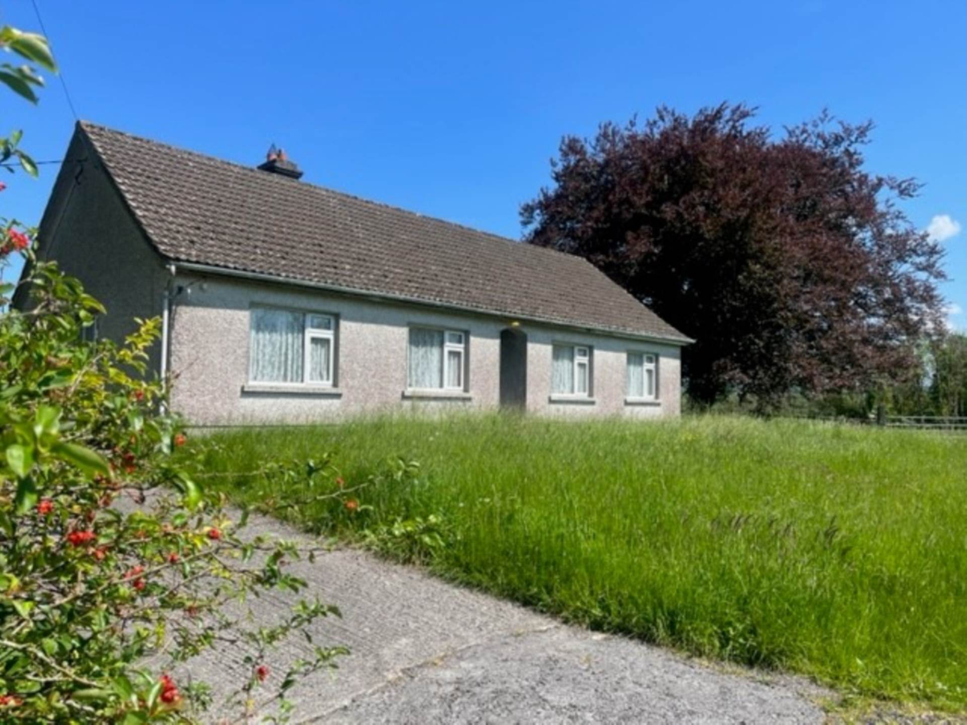 Limepark, Ardrahan, Co. Galway Limepark, Ardrahan, Co. Galway