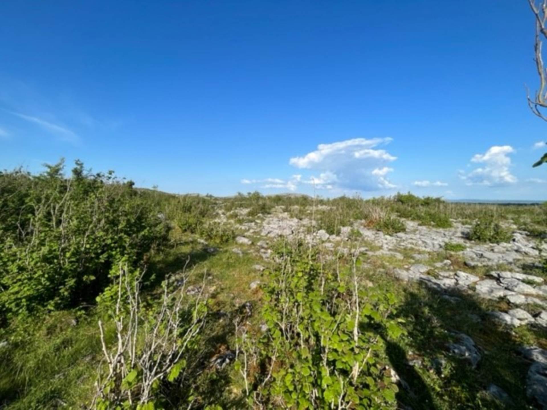 Rinnamona, Kilnaboy, Co. Clare