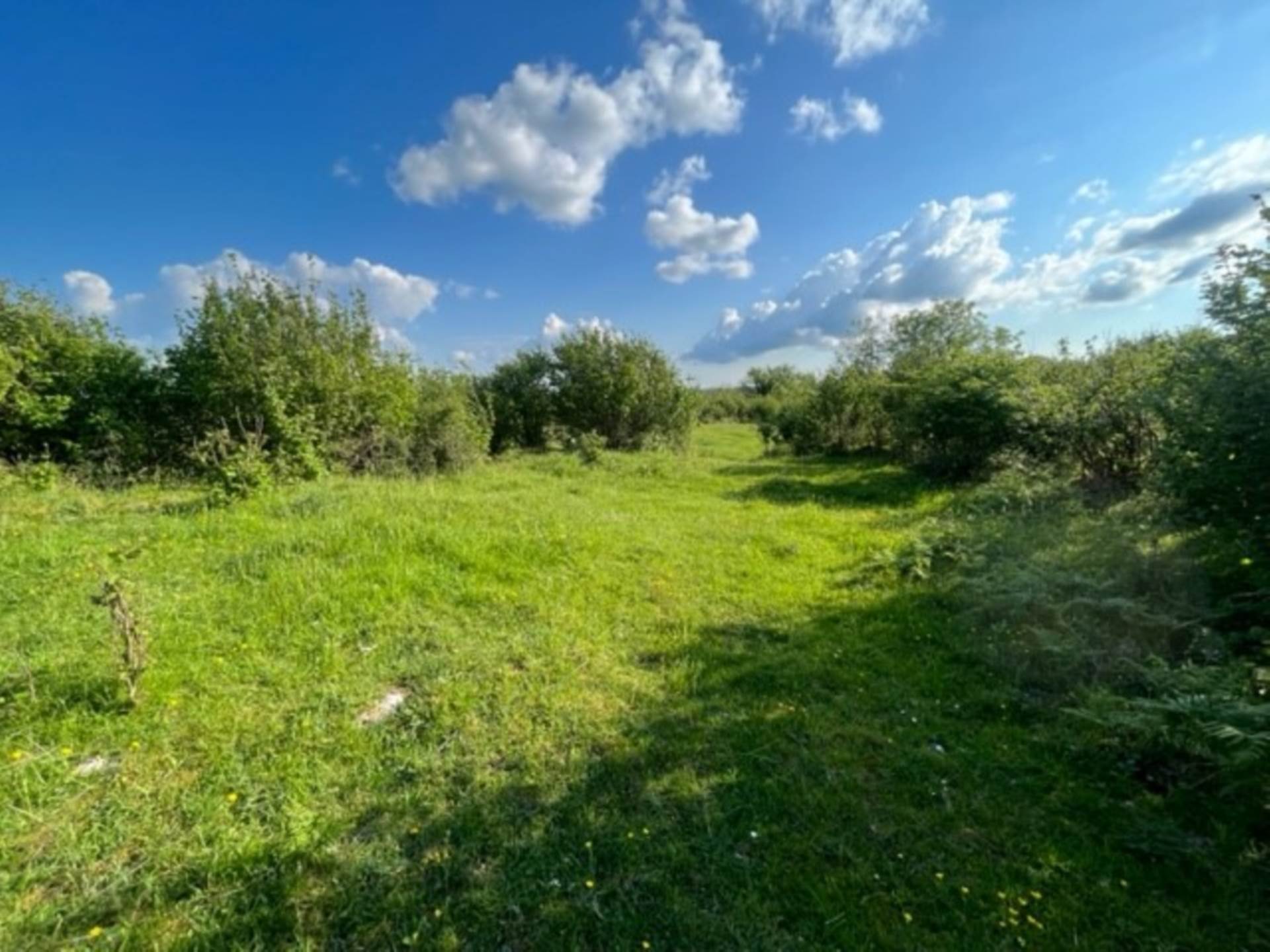 Rinnamona, Kilnaboy, Co. Clare