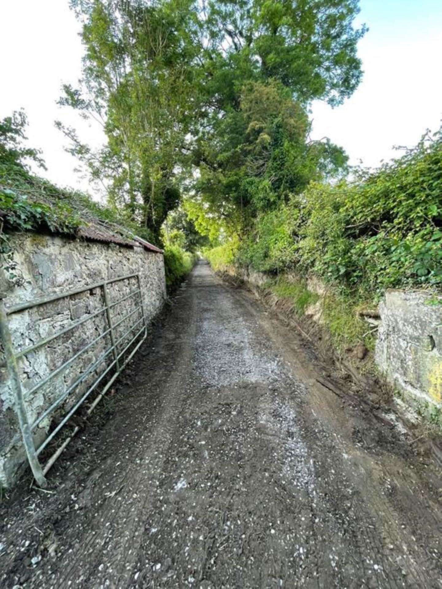 Lismakeigue, Kiltormer, Loughrea, Co. Galway Lismakeigue, Kiltormer, Loughrea, Co. Galway