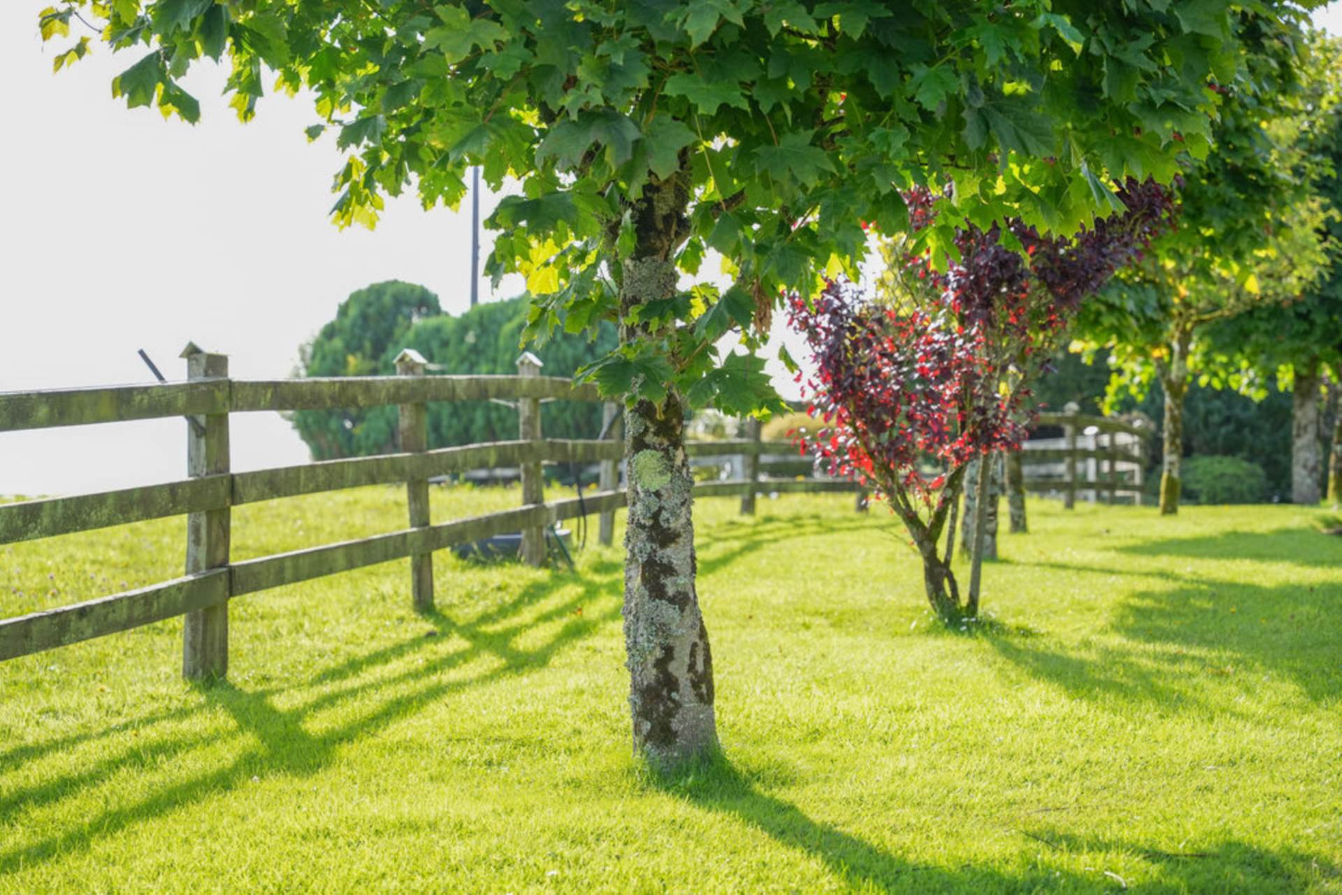 Ballinamanton, Gort, Co. Galway H91 PX8C Ballinamanton, Gort, Co. Galway H91 PX8C