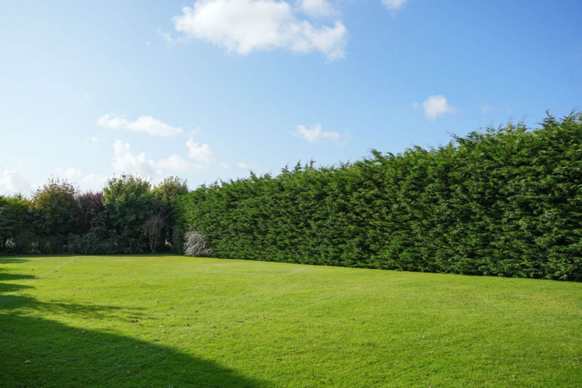 Ballinamanton, Gort, Co. Galway H91 PX8C Ballinamanton, Gort, Co. Galway H91 PX8C