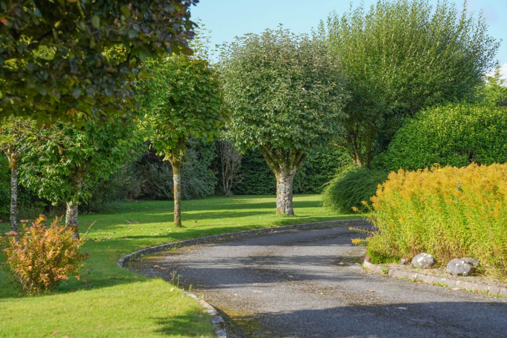 Ballinamanton, Gort, Co. Galway H91 PX8C Ballinamanton, Gort, Co. Galway H91 PX8C