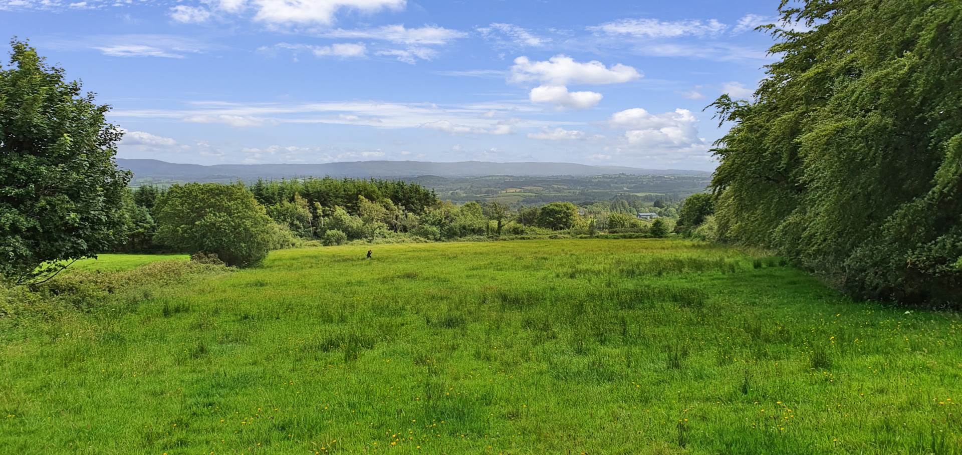 Glendree, Feakle, Co. Clare