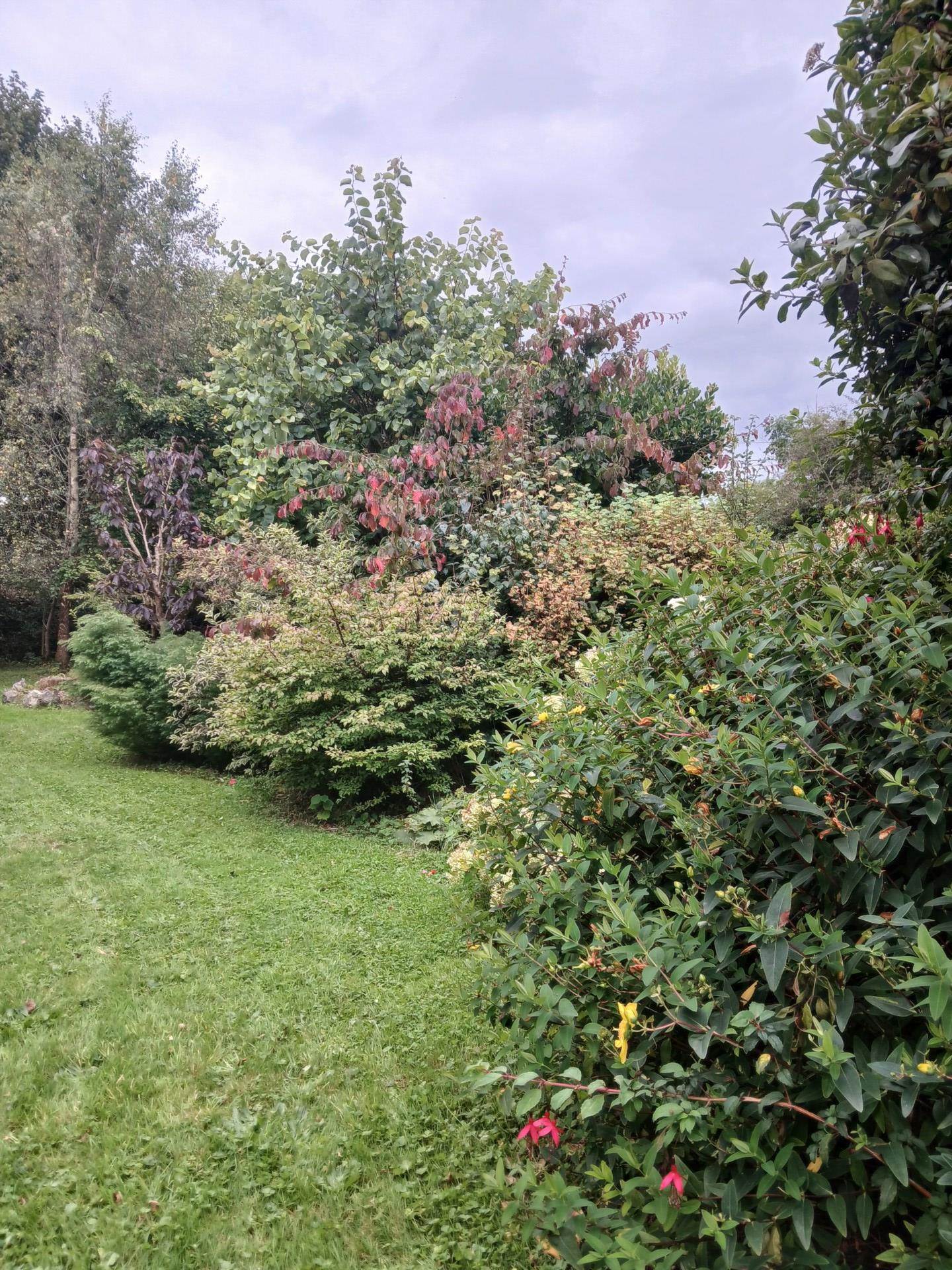 Tarrea, Ballinderreen, Kilcolgan, Co. Galway, H91 P2C2 Tarrea, Ballinderreen, Kilcolgan, Co. Galway, H91 P2C2