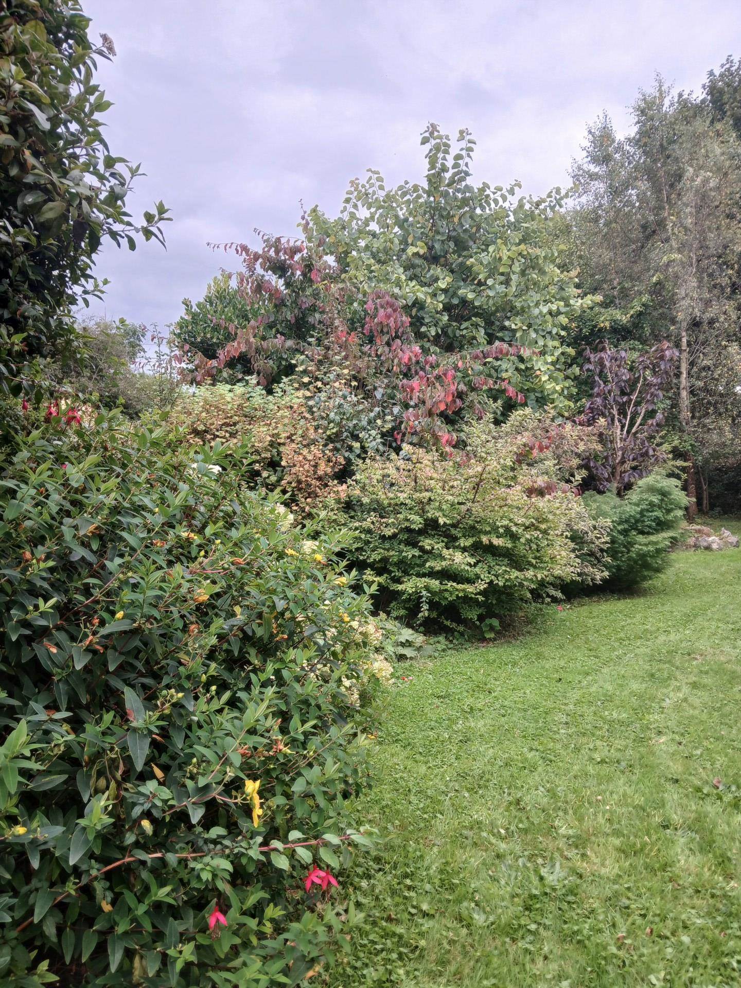Tarrea, Ballinderreen, Kilcolgan, Co. Galway, H91 P2C2 Tarrea, Ballinderreen, Kilcolgan, Co. Galway, H91 P2C2