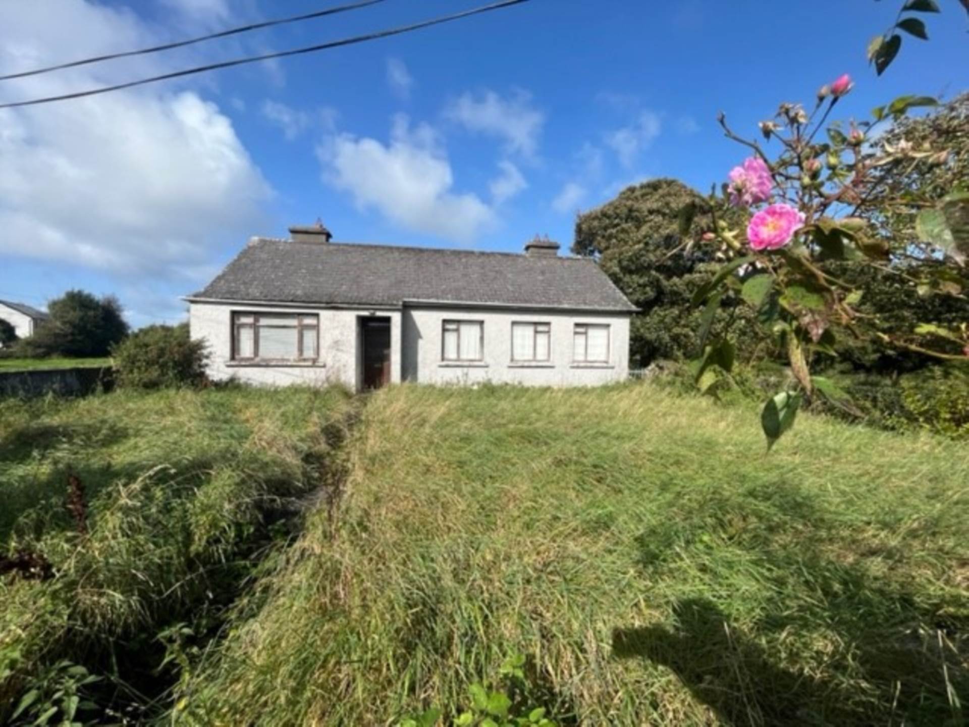 Pollagh, Ballinderrreen, Kilcolgan, Co. Galway Pollagh, Ballinderrreen, Kilcolgan, Co. Galway