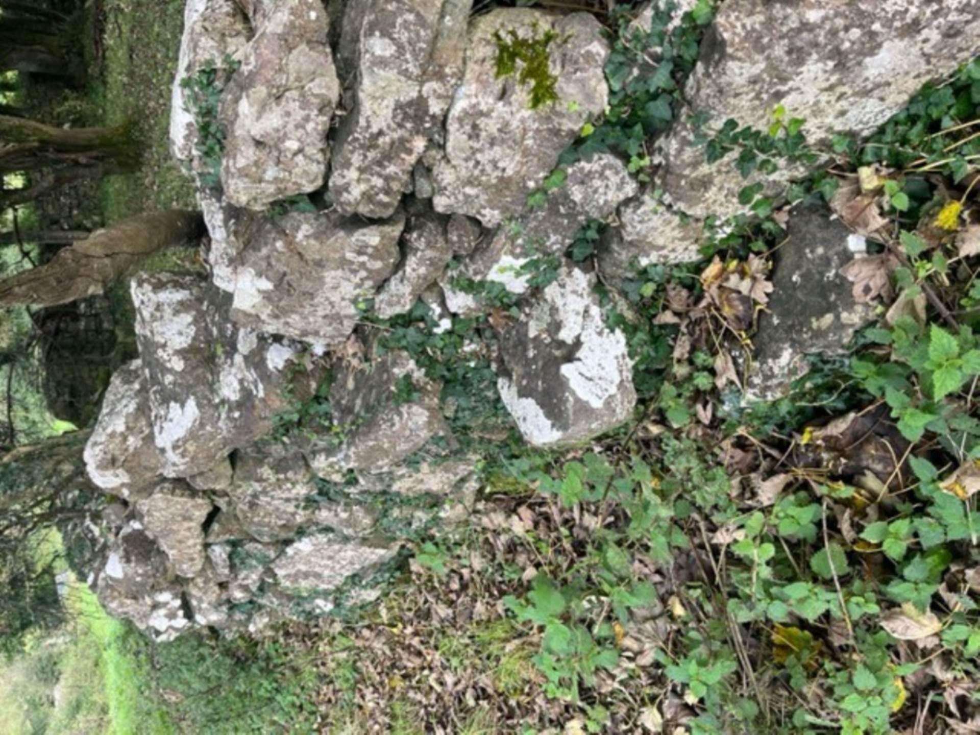 Pollagh, Ballinderrreen, Kilcolgan, Co. Galway Pollagh, Ballinderrreen, Kilcolgan, Co. Galway