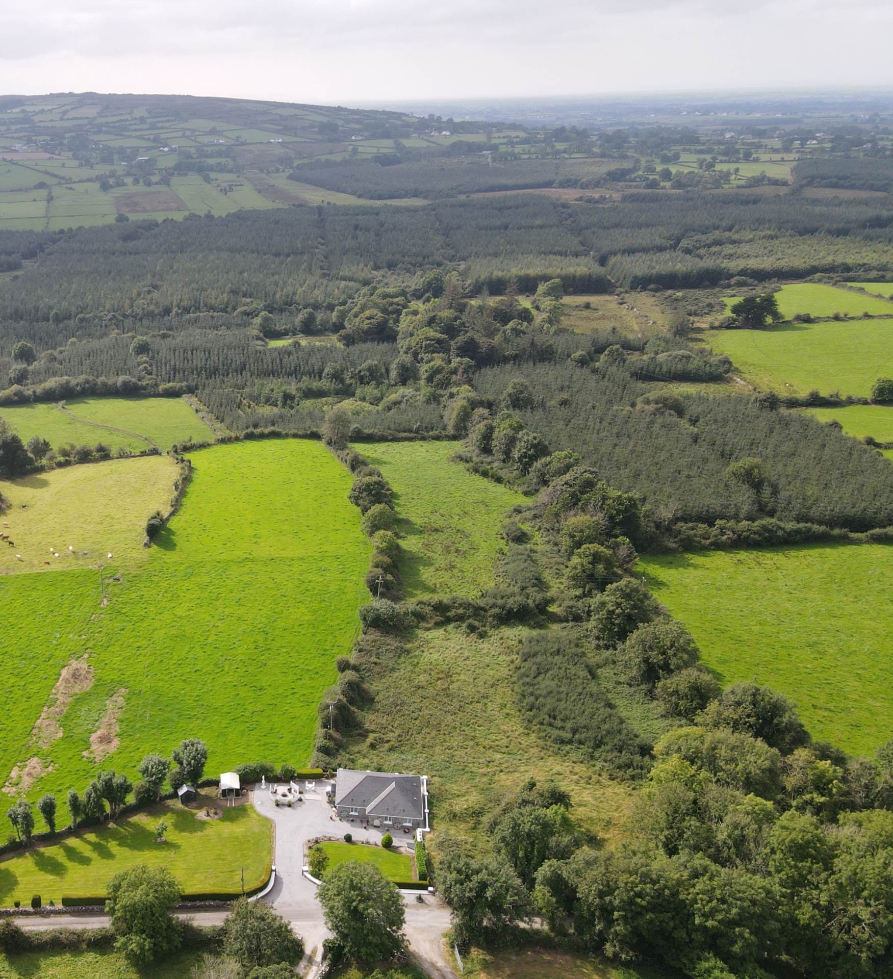 Sammary Lodge, Ballycoony, Kilchreest, Loughrea, Co. Galway H62 E288 Sammary Lodge, Ballycoony, Kilchreest, Loughrea, Co. Galway H62 E288