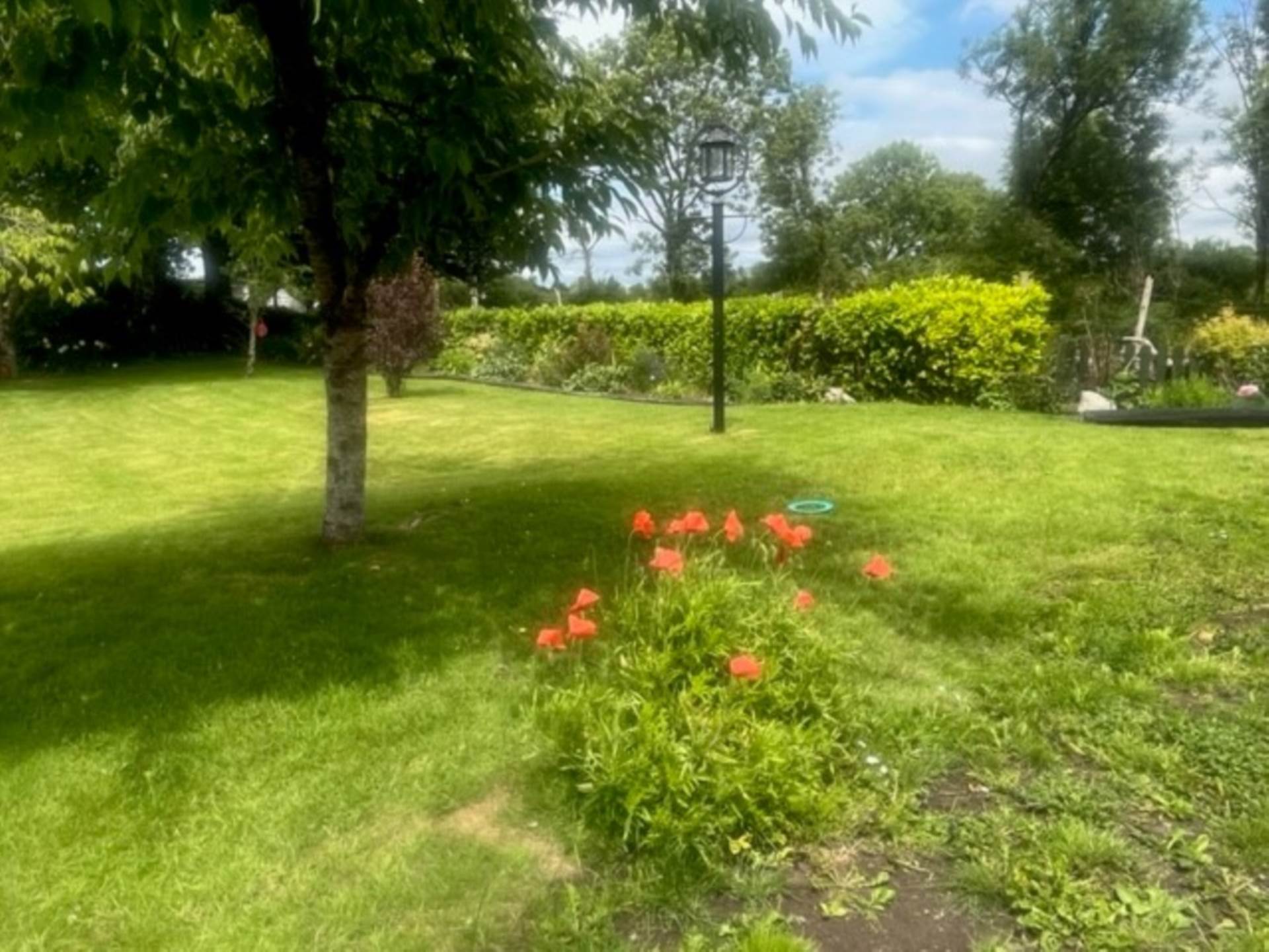 Tonroe, Ardrahan, Co. Galway, H91 HWX3 Tonroe, Ardrahan, Co. Galway, H91 HWX3