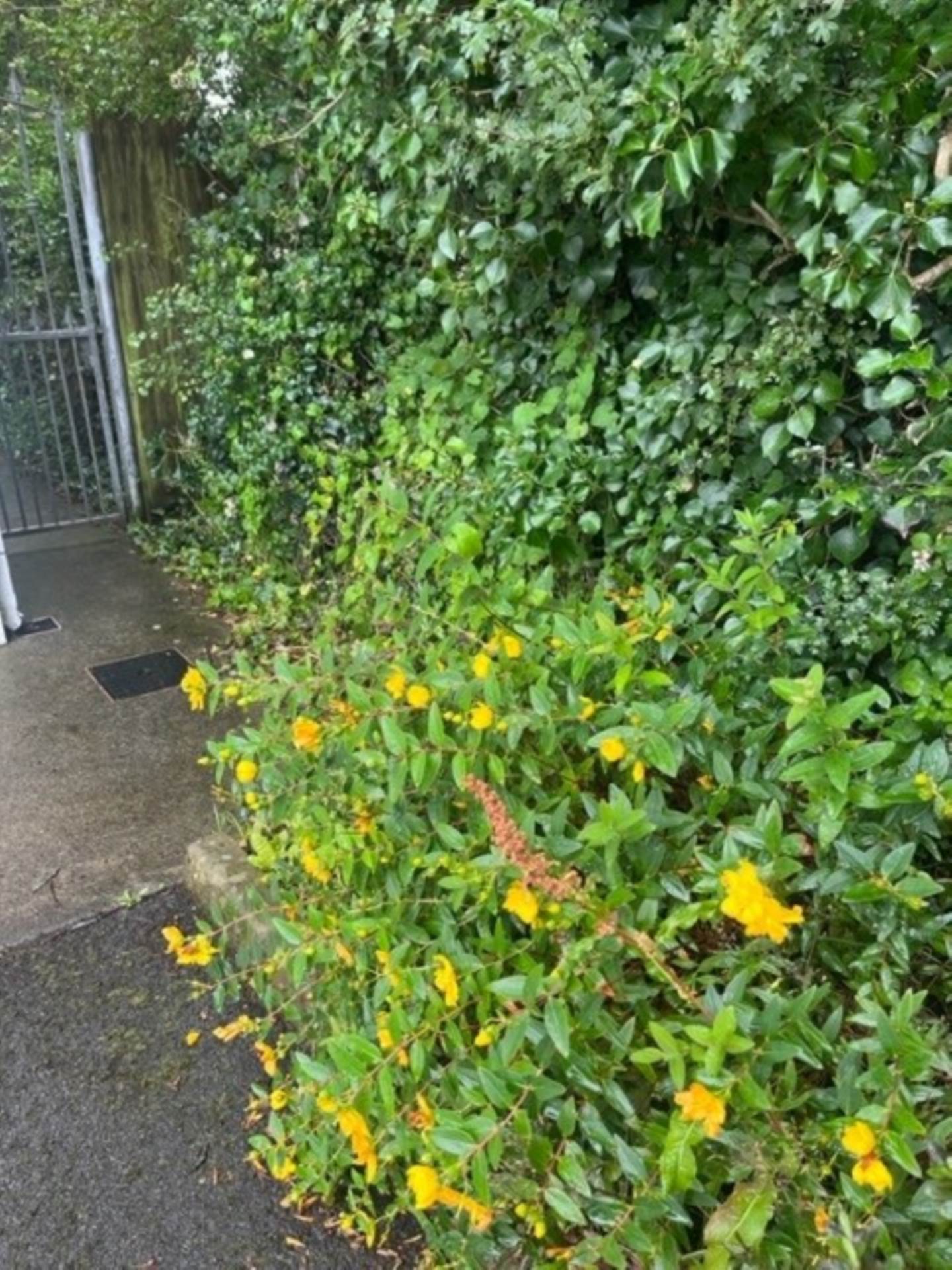 4 The Meadows, Garrabeg, Gort, Co. Galway, H91 Y8C1 4 The Meadows, Garrabeg, Gort, Co. Galway, H91 Y8C1