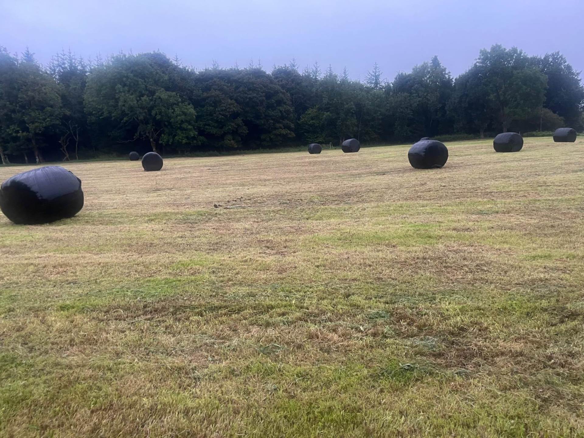 Dunsandle, Athenry, Co. Galway  Dunsandle, Athenry, Co. Galway