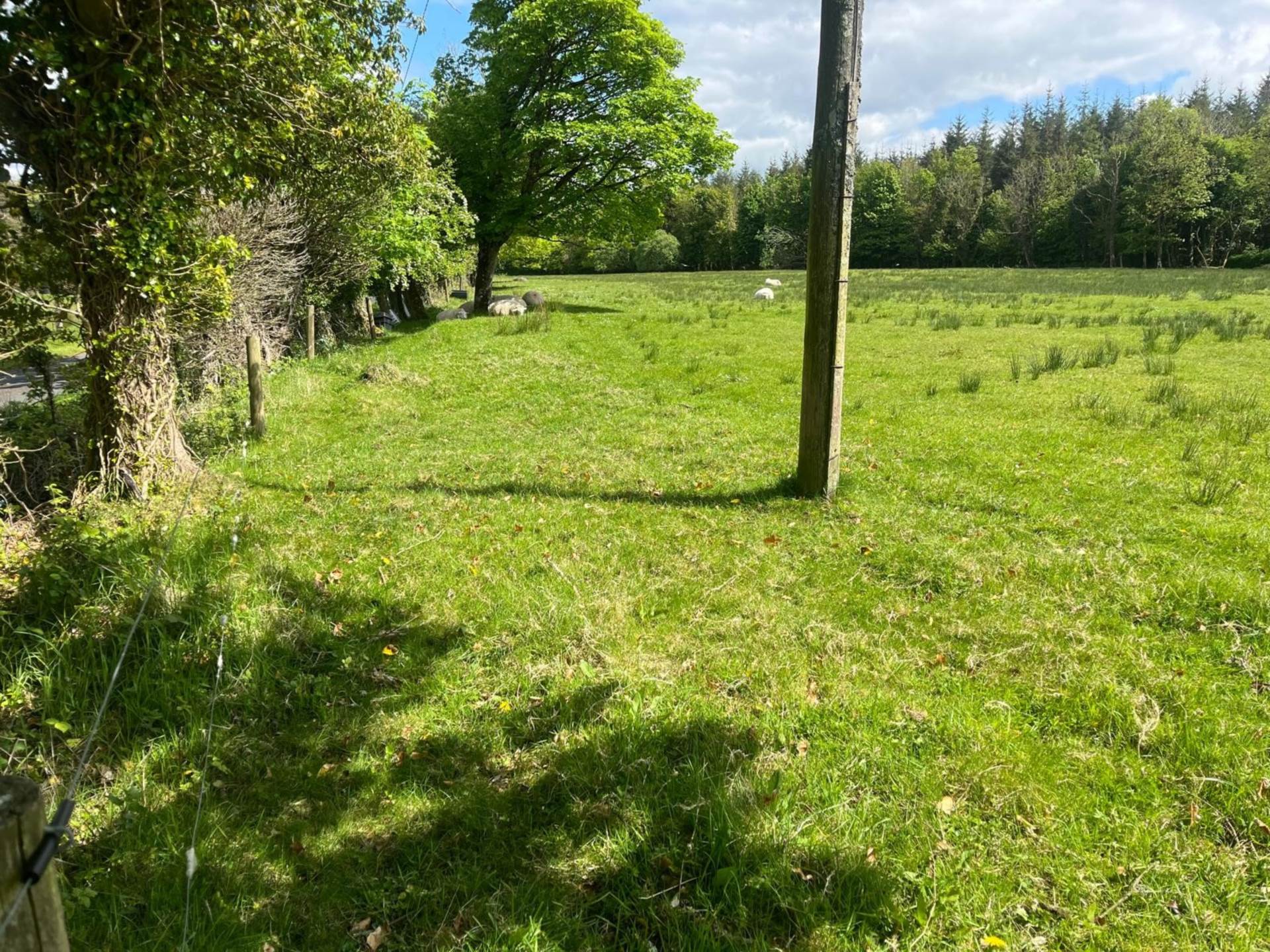 Dunsandle, Athenry, Co. Galway Dunsandle, Athenry, Co. Galway