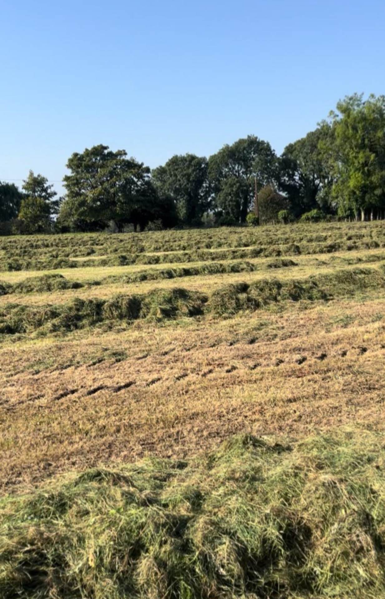 Dunsandle, Athenry, Co. Galway  Dunsandle, Athenry, Co. Galway