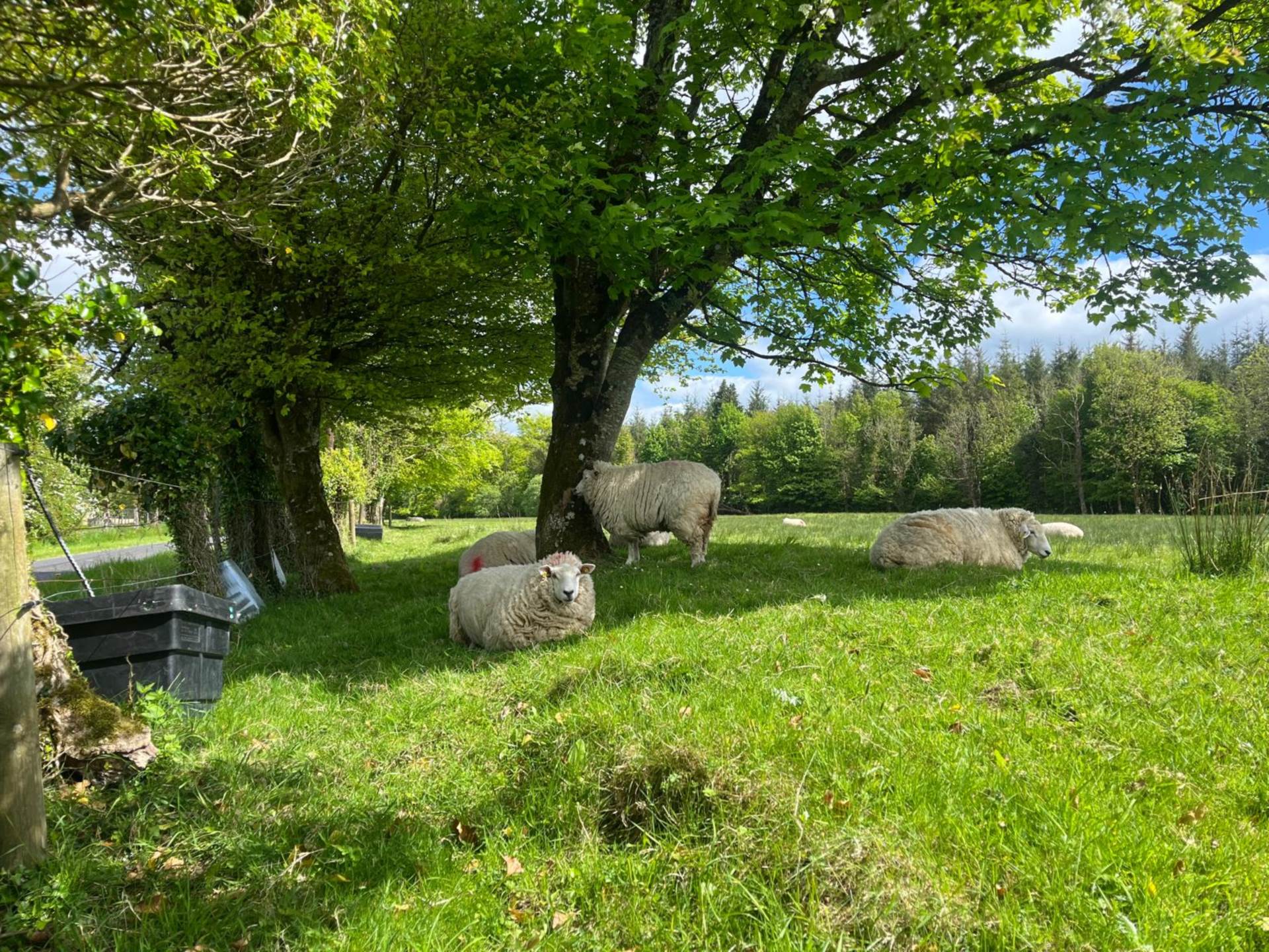 Dunsandle, Athenry, Co. Galway  Dunsandle, Athenry, Co. Galway