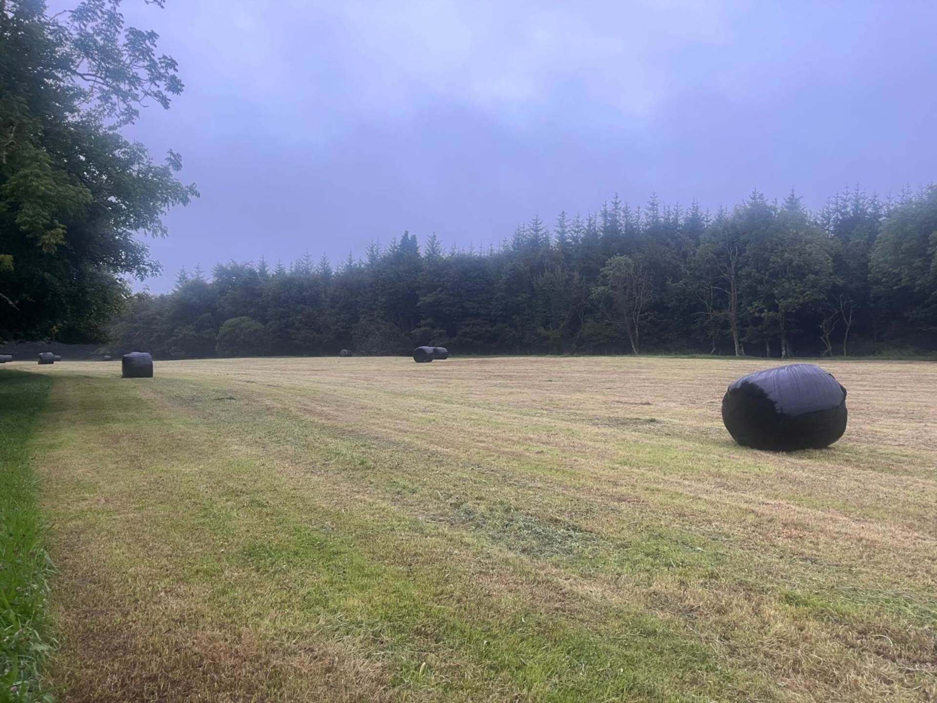 Dunsandle, Athenry, Co. Galway  Dunsandle, Athenry, Co. Galway