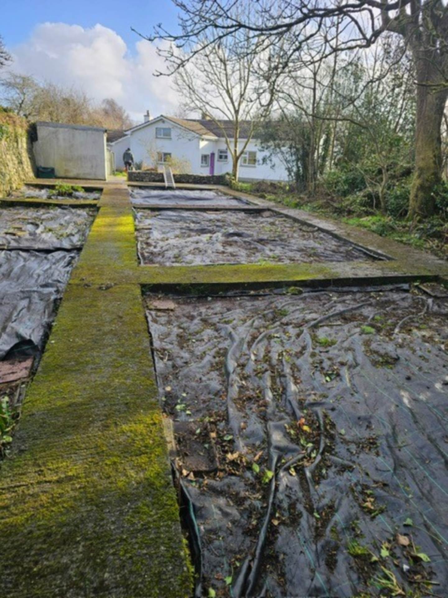 The Hollies, Cloosh, Kinvara, Co. Galway