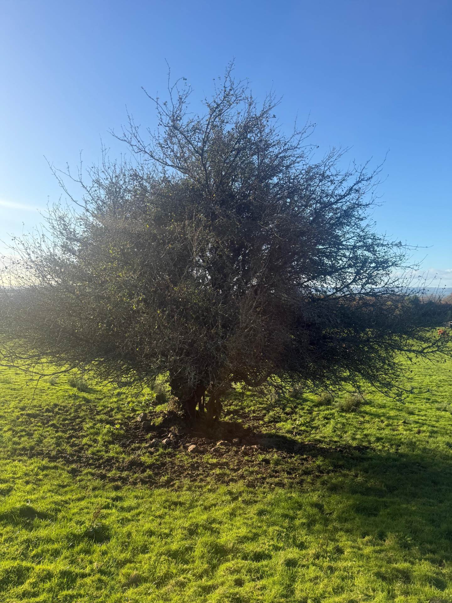Ballinruan, Crusheen, Co. Clare