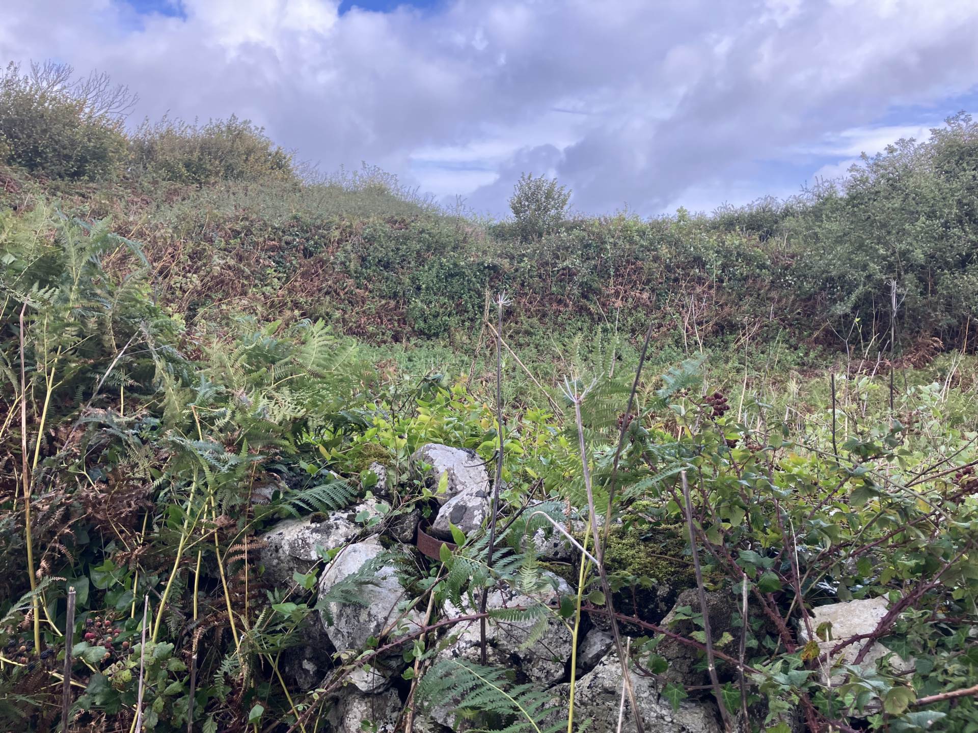 Roxton, Corofin, Co. Clare,V95 N5Y4