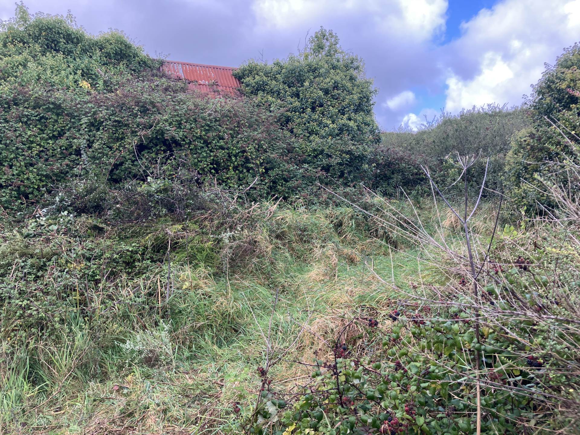 Roxton, Corofin, Co. Clare,V95 N5Y4