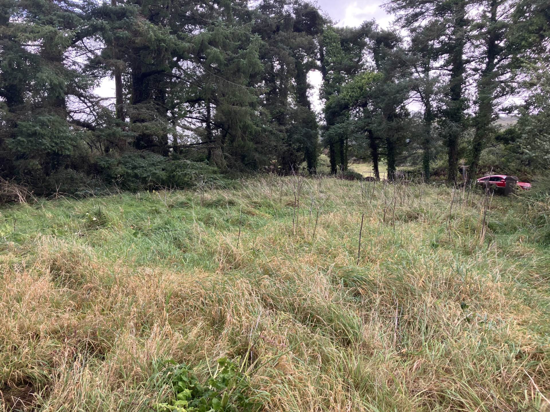Roxton, Corofin, Co. Clare,V95 N5Y4