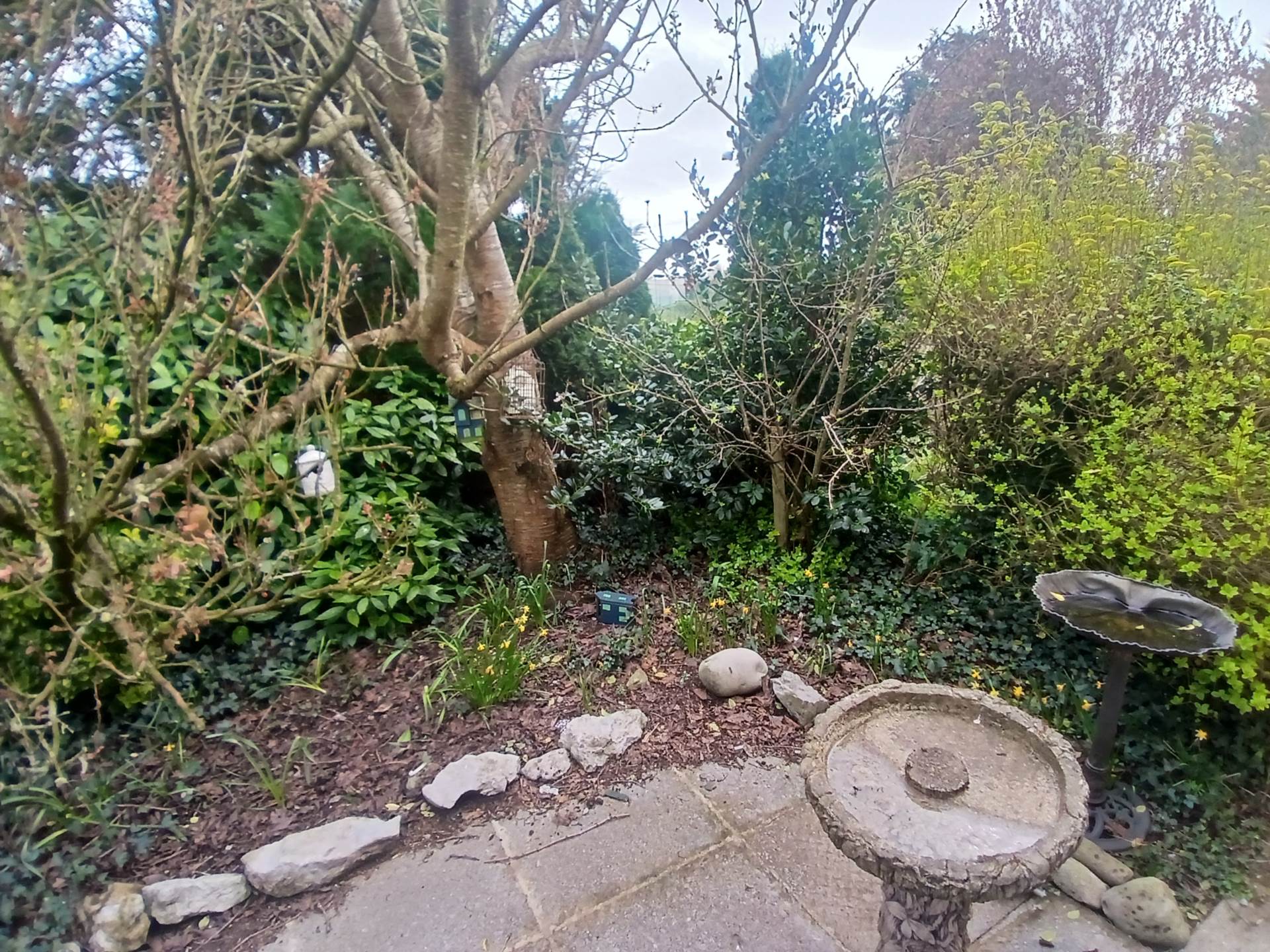 The Plots, Lavally, Gort, Co. Galway The Plots, Lavally, Gort, Co. Galway