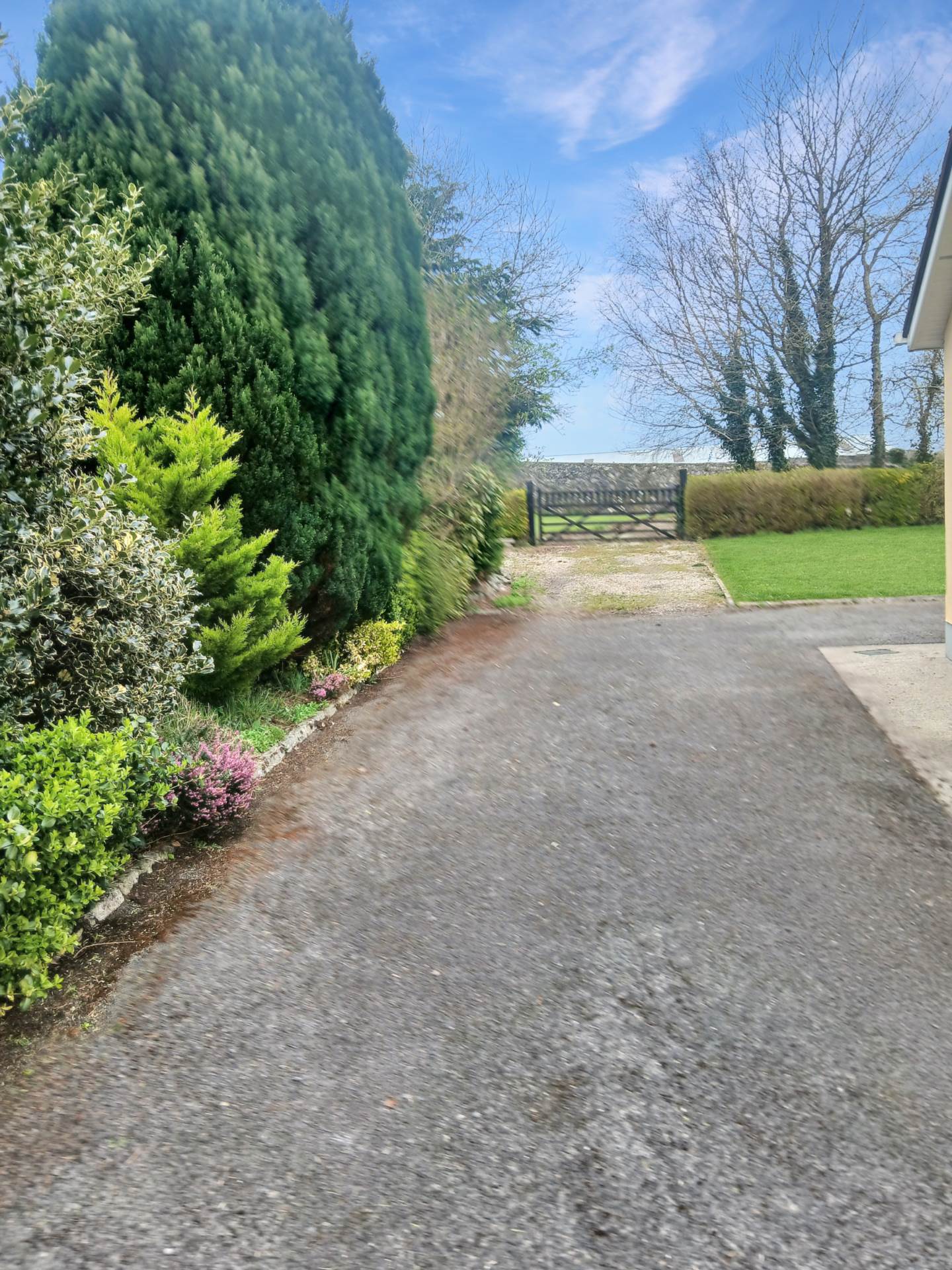 The Plots, Lavally, Gort, Co. Galway The Plots, Lavally, Gort, Co. Galway