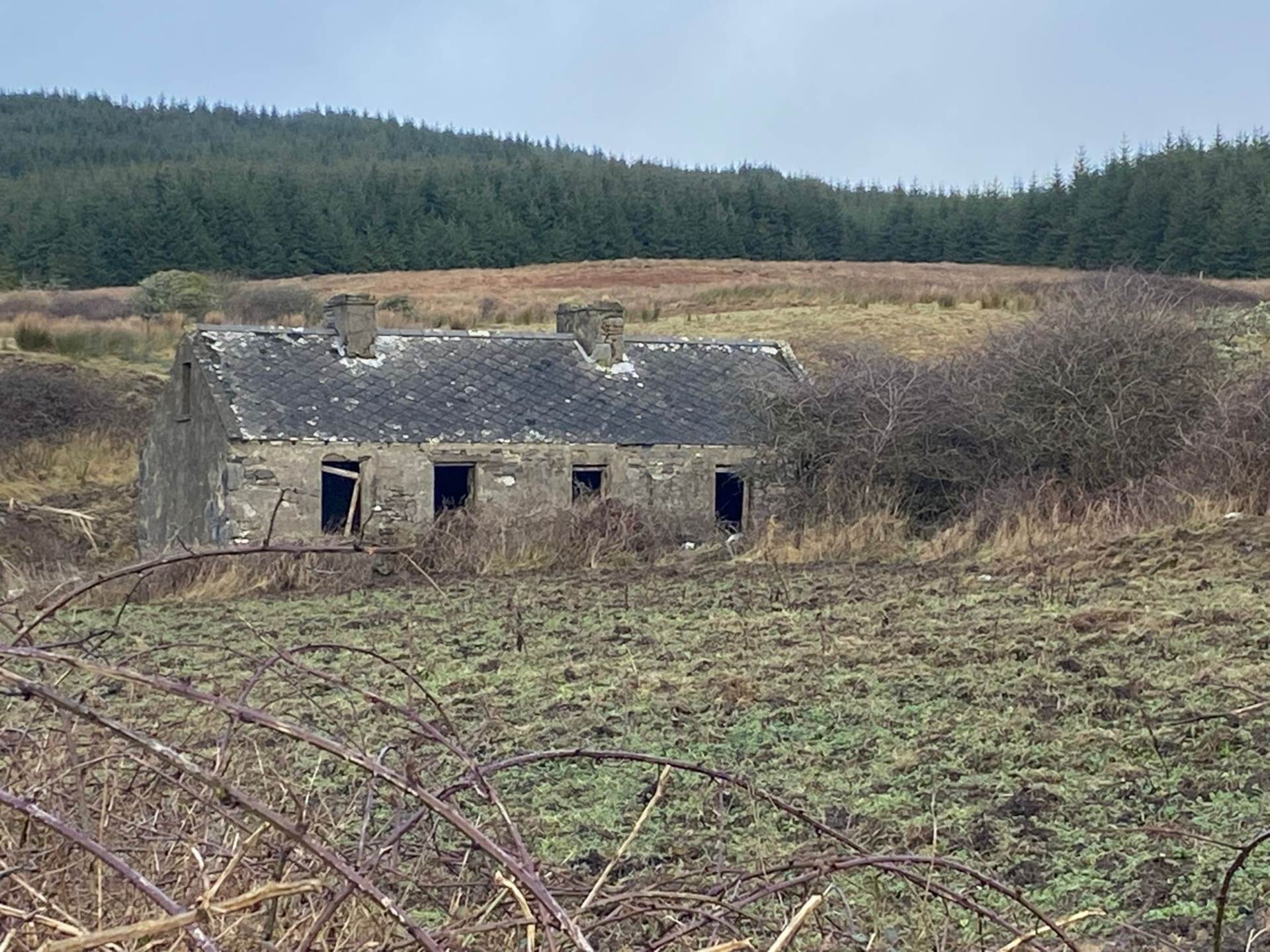 Ballynahown, Lisdoonvarna, Co. Clare