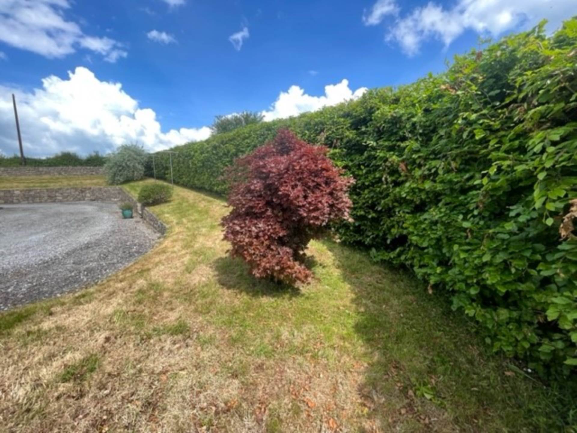 Cappacur, Tynagh, Loughrea, Co. Galway, H62 KD45