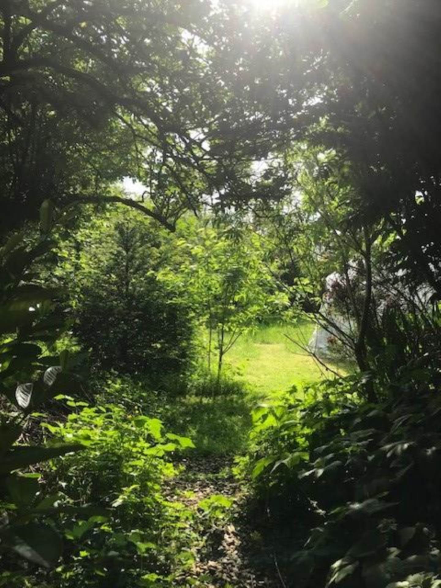 Hollybank House, Carheeney Beg, Gort, Co. Galway, H91 W30E Hollybank House, Carheeney Beg, Gort, Co. Galway, H91 W30E